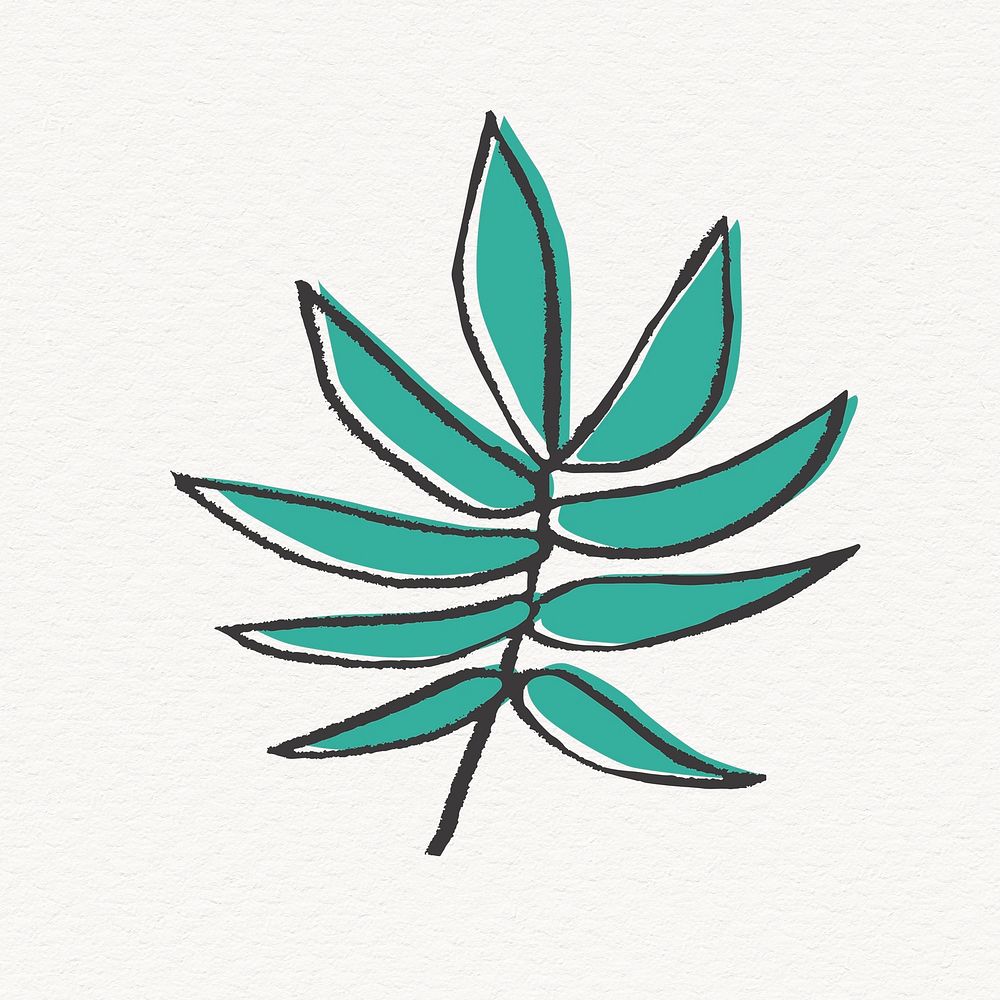 Green palm tree leaf illustration, nature design