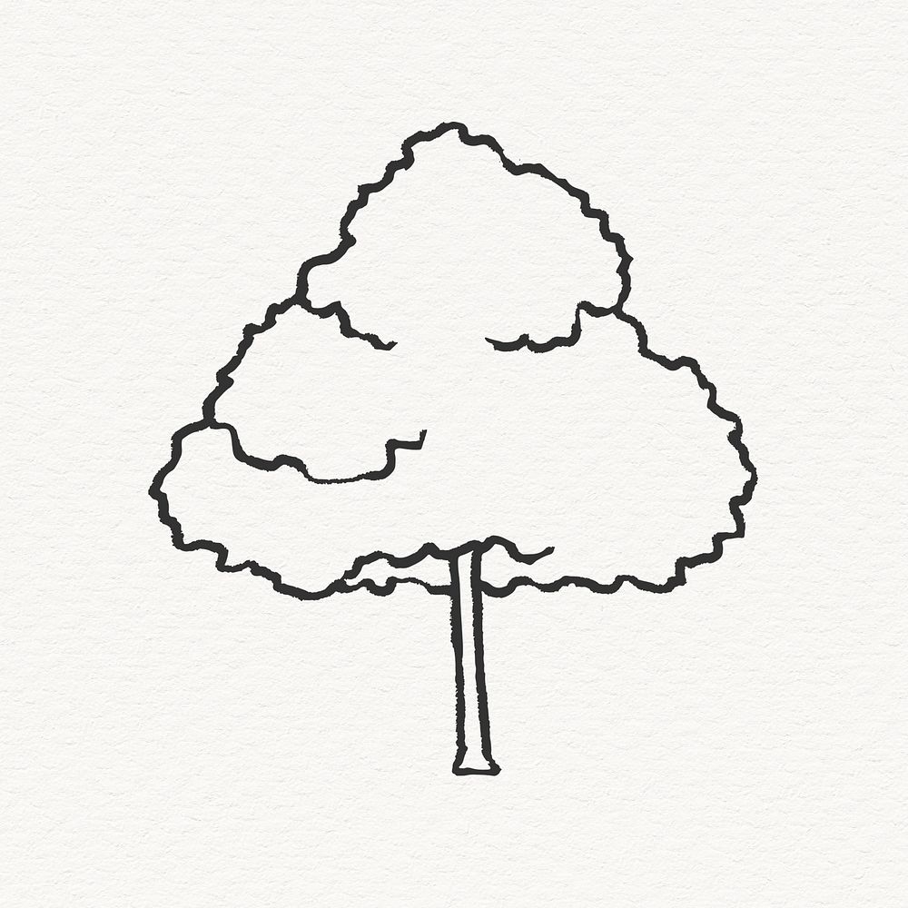 Line art ash tree illustration, | Free Photo Illustration - rawpixel