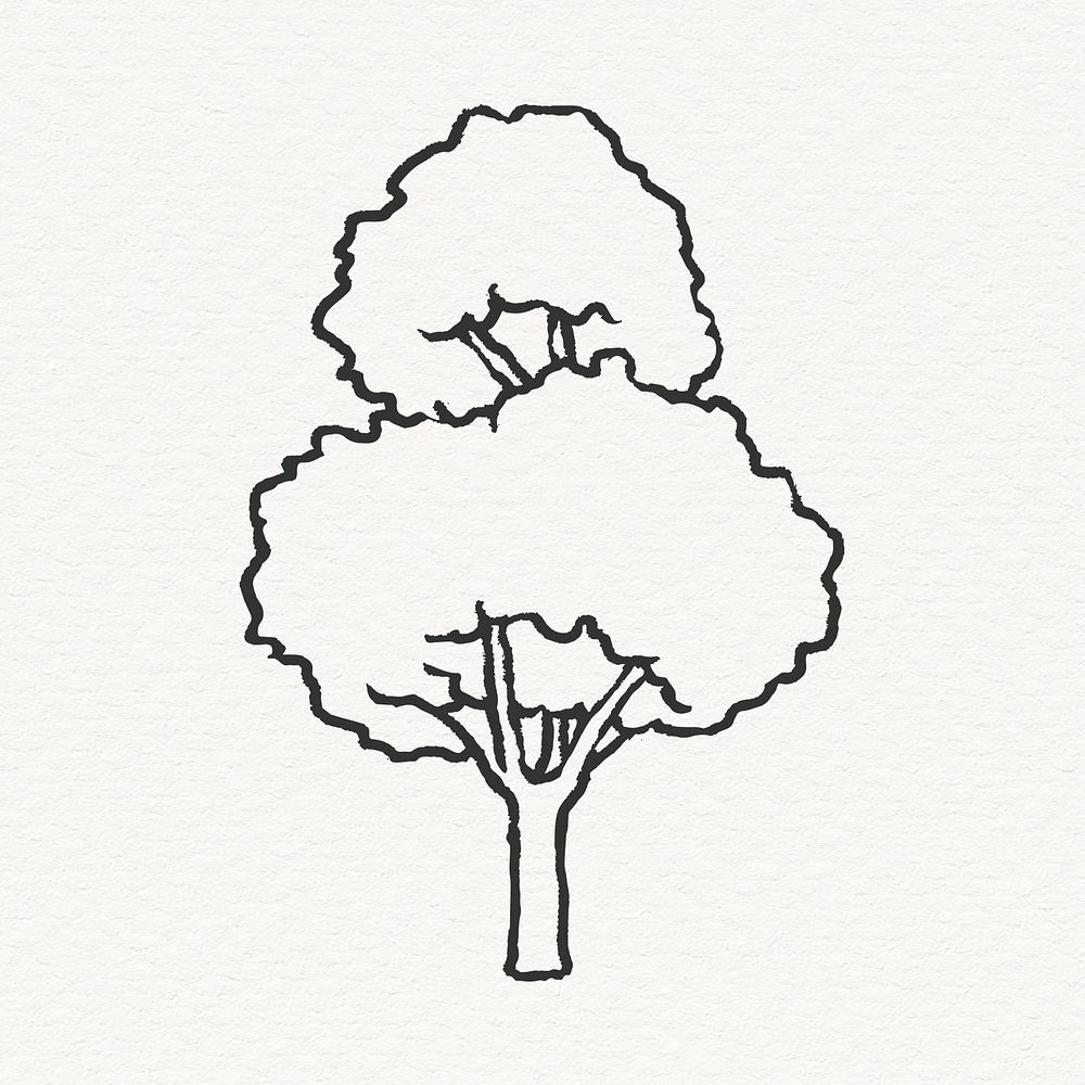 Oak tree line art illustration, nature design