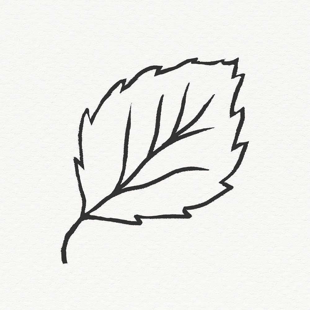 Perilla leaf clipart, simple line art design