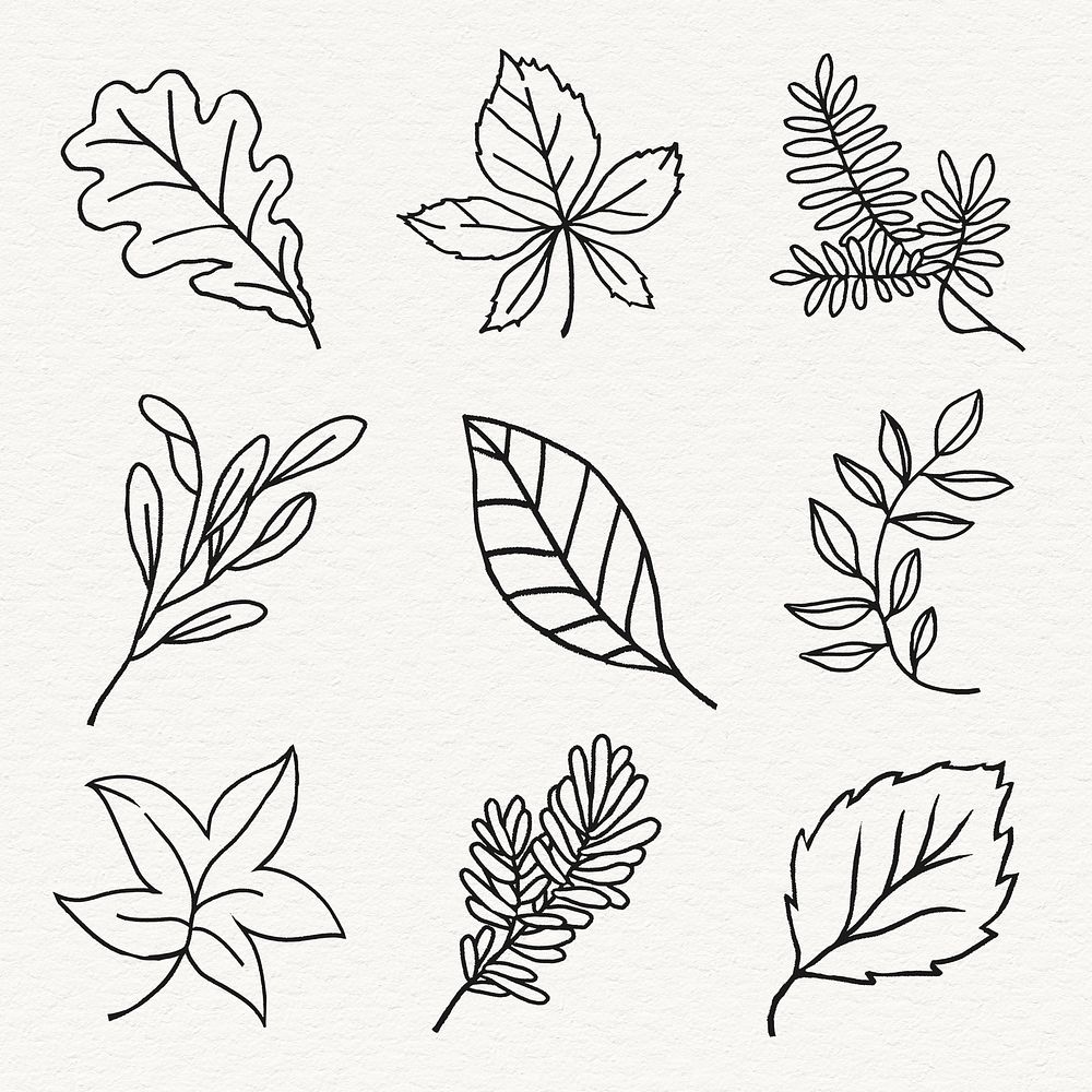 Leaf line art sticker collection psd