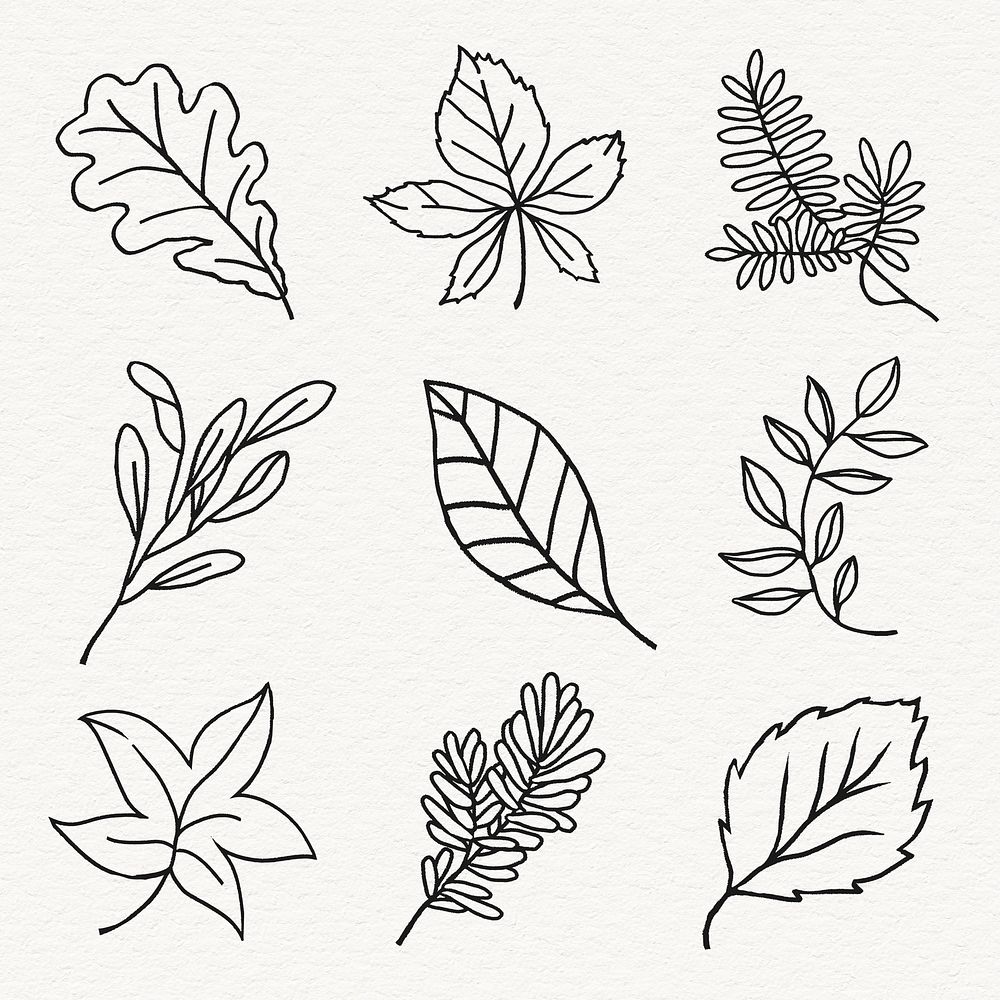 Leaf line art sticker collection vector