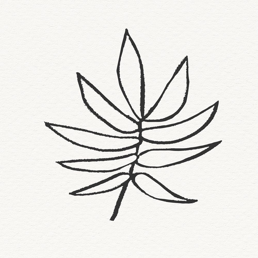 Palm tree leaf clipart, line art design