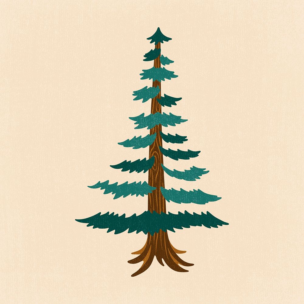 Conifer tree clipart, aesthetic nature cartoon illustration