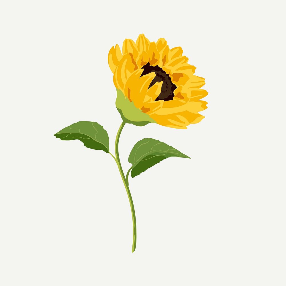 Aesthetic sunflower clipart, yellow flower