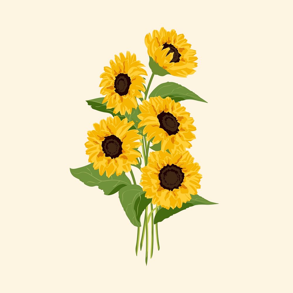 Realistic sunflower sticker, botanical illustration psd