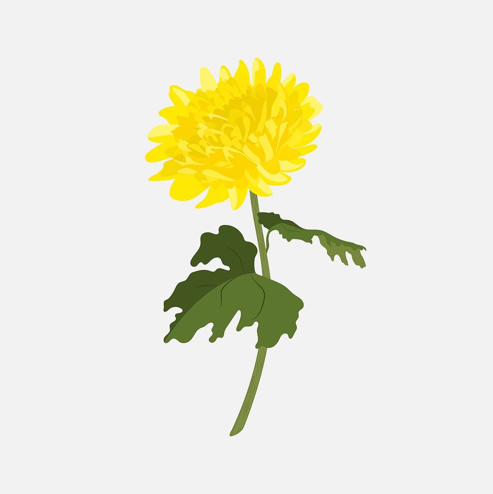 Yellow chrysanthemum sticker, colorful flower collage element vector