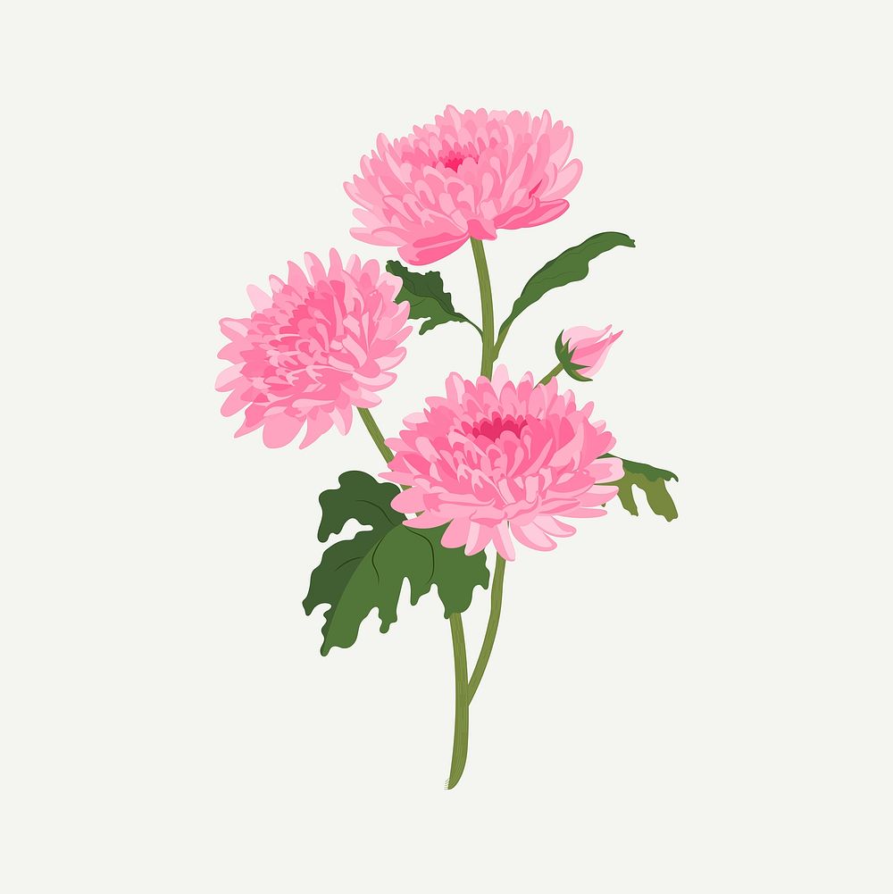 Chrysanthemum flower sticker, pink feminine illustration vector