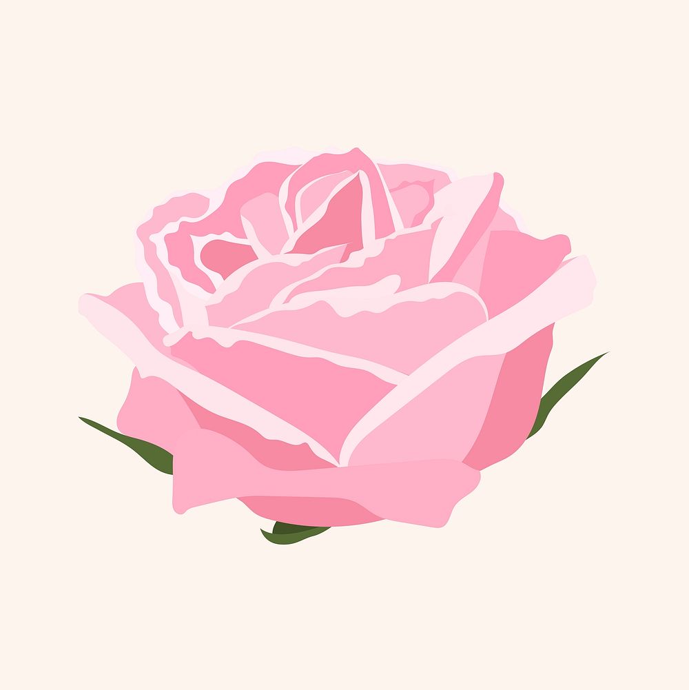 Pink rose clipart, feminine flower illustration