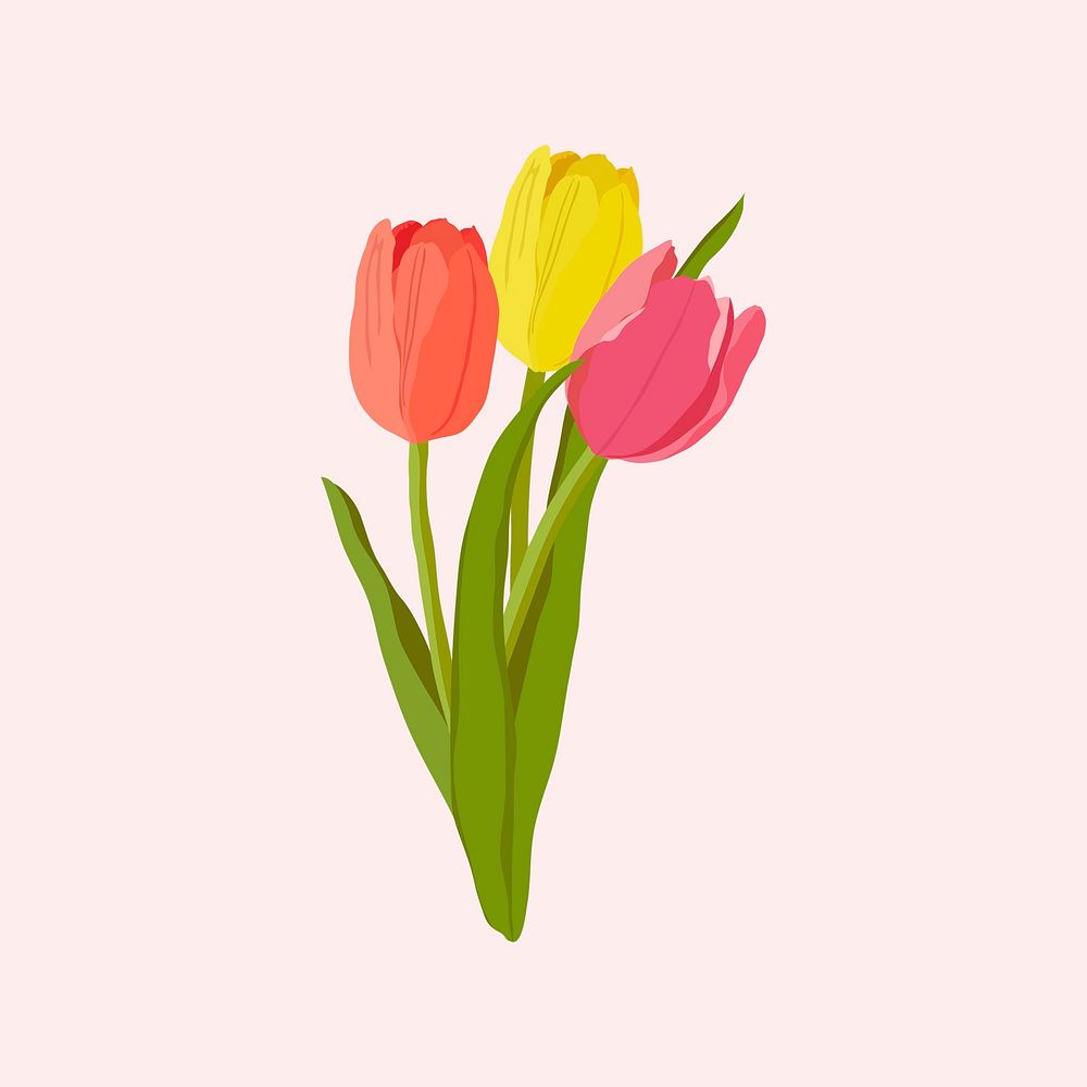 Tulip flower sticker, colorful realistic illustration psd