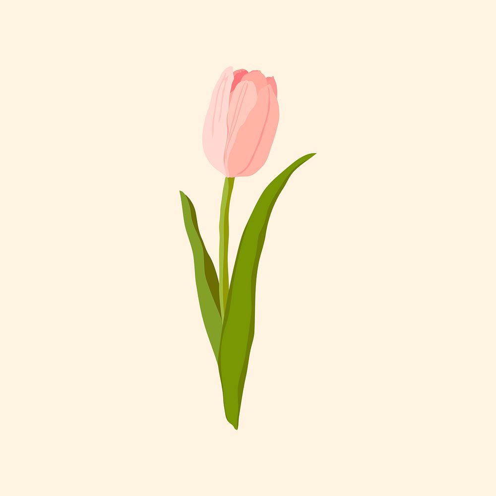 Pink tulip sticker, realistic flower illustration psd