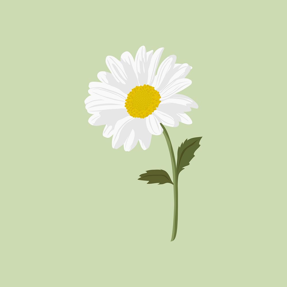 Aesthetic daisy clipart, white flower collage element