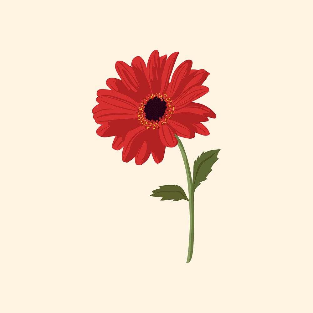 Aesthetic daisy clipart, red flower collage element