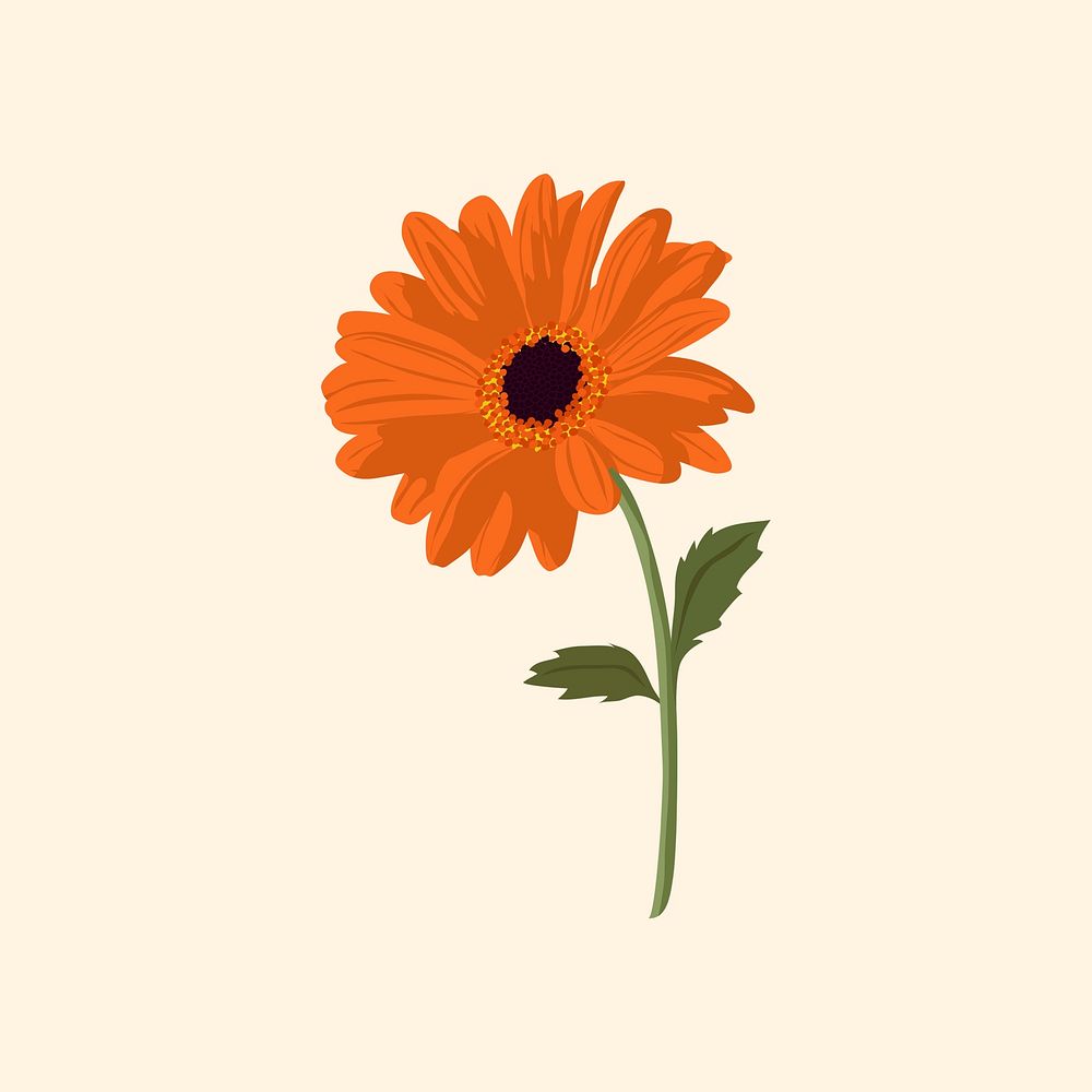 Aesthetic daisy clipart, orange flower collage element