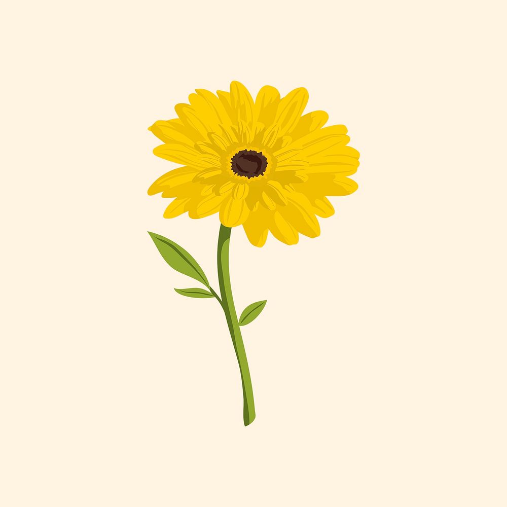 Yellow gerbera sticker, feminine flower illustration vector