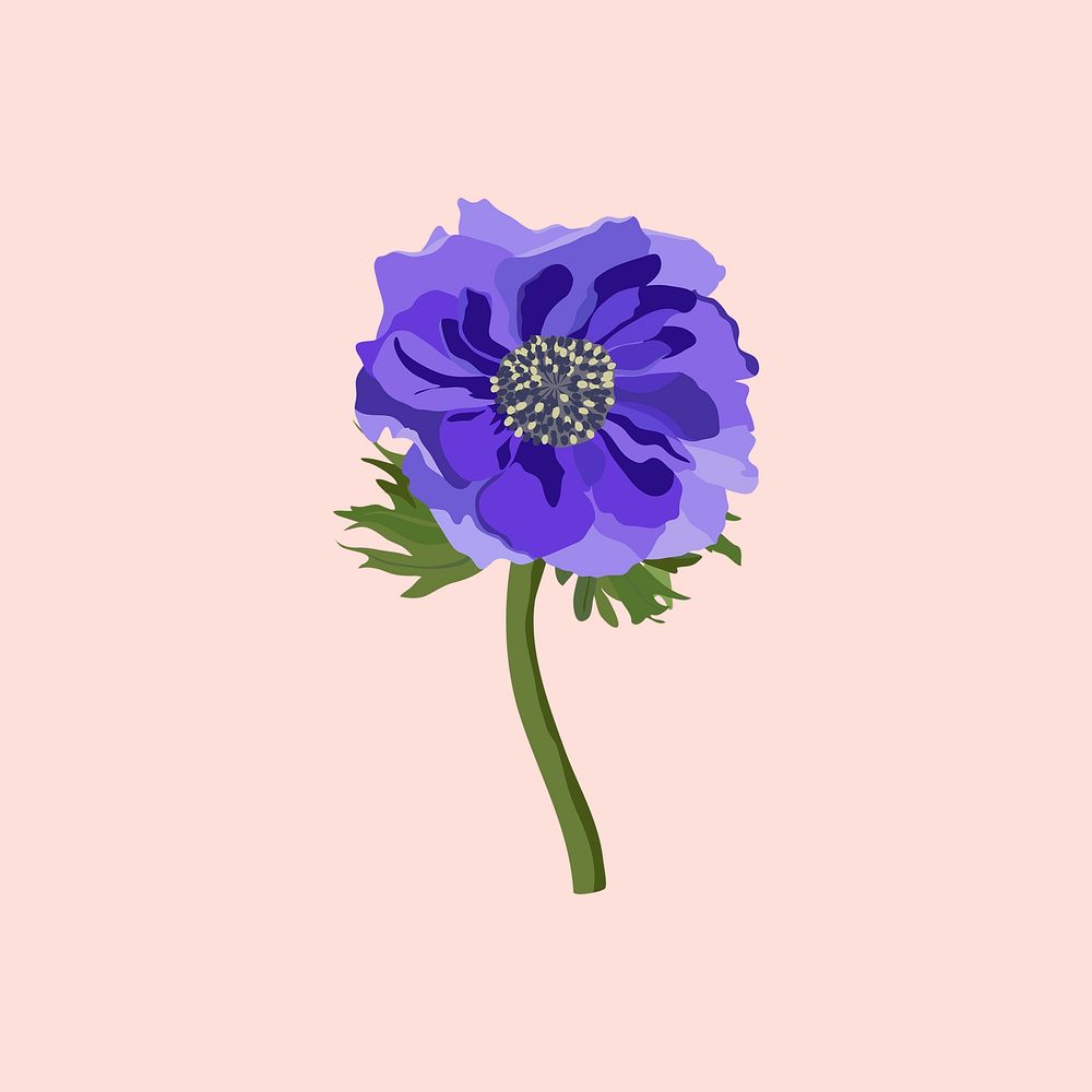 Purple anemone sticker, aesthetic flower illustration vector