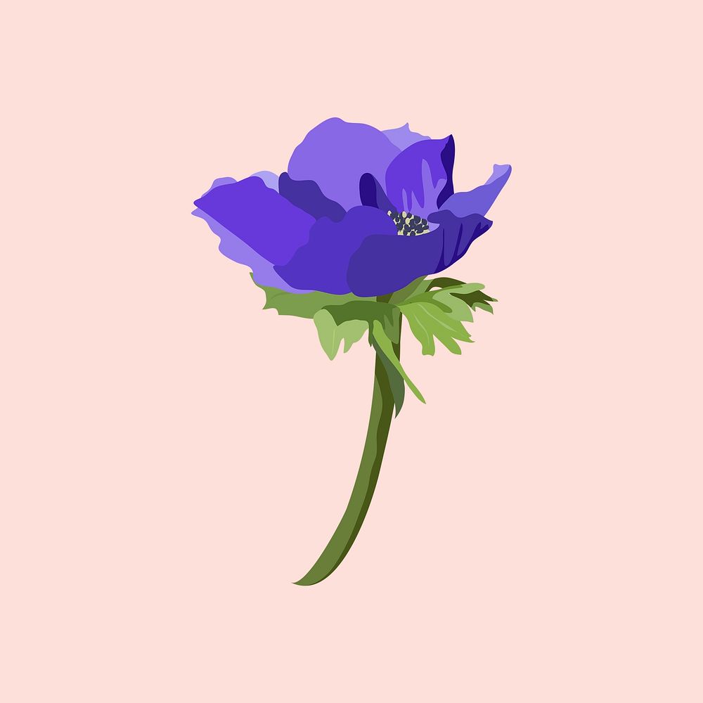 Purple anemone clipart, aesthetic flower illustration