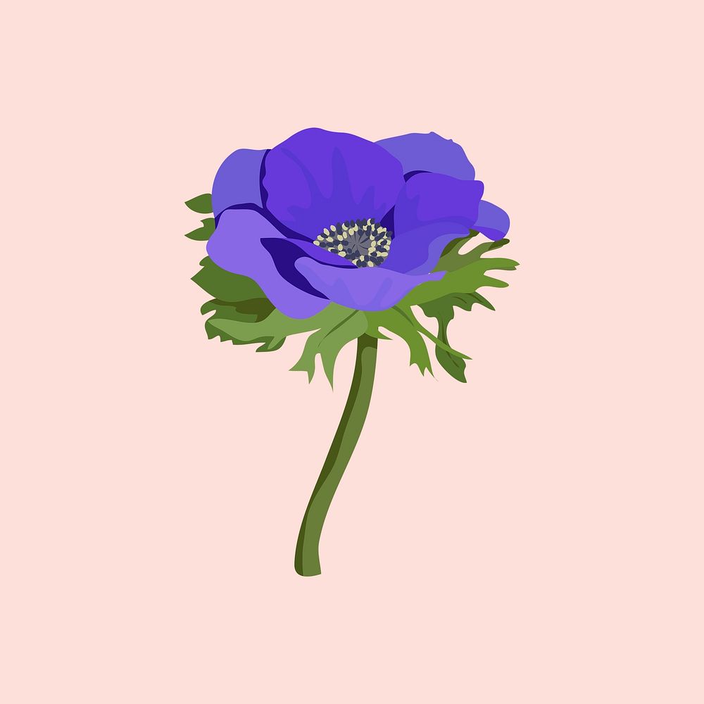 Purple anemone sticker, aesthetic flower illustration vector