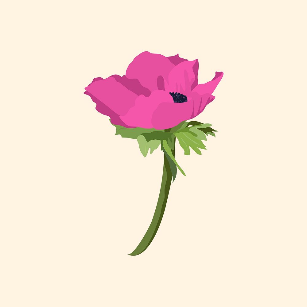 Pink feminine flower sticker, anemone illustration psd