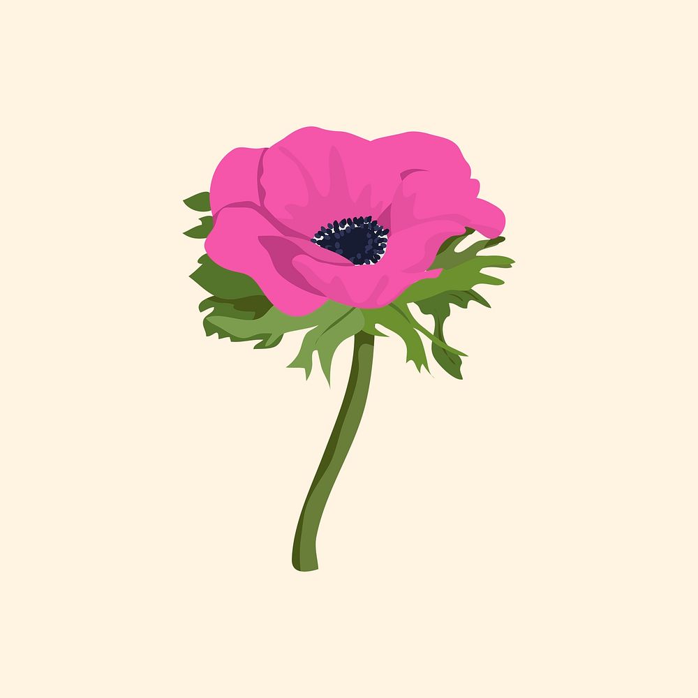 Pink feminine flower sticker, anemone illustration vector