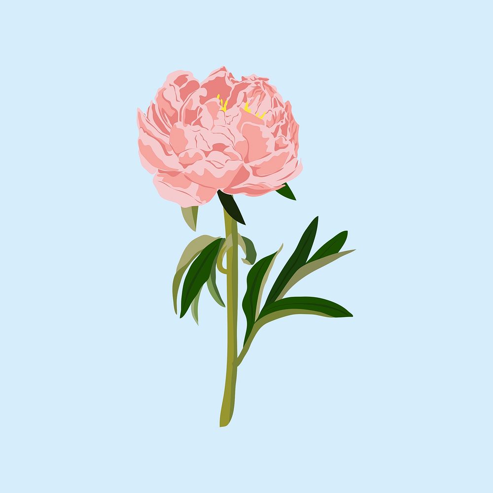 Pink peony sticker, pastel flower illustration psd