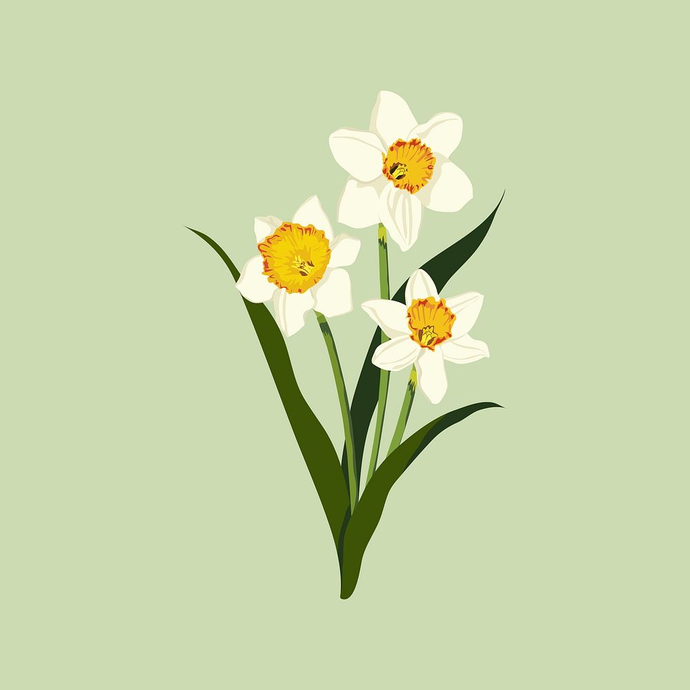 Yellow daffodil sticker, realistic flower illustration psd