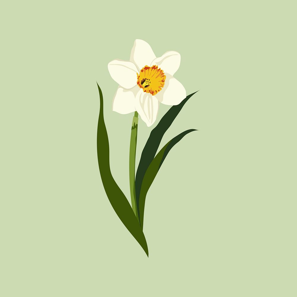 Yellow daffodil sticker, realistic flower illustration vector