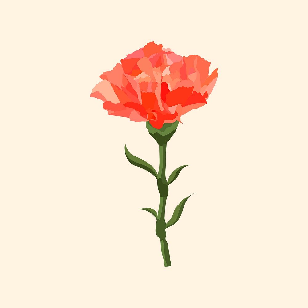 Red carnation sticker, aesthetic flower illustration vector
