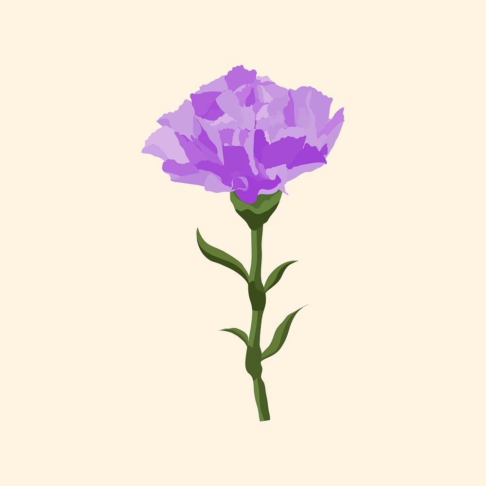 Purple carnation sticker, aesthetic flower illustration vector