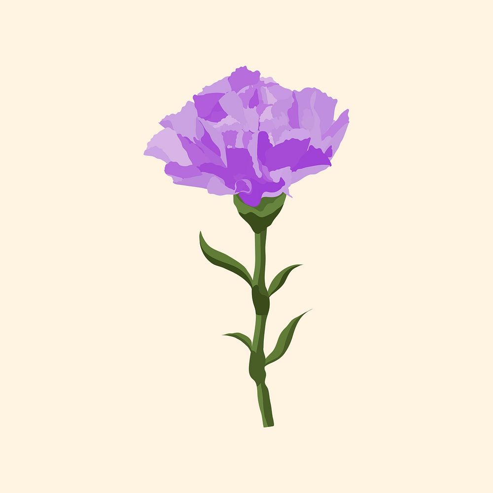 Purple carnation sticker, aesthetic flower illustration psd
