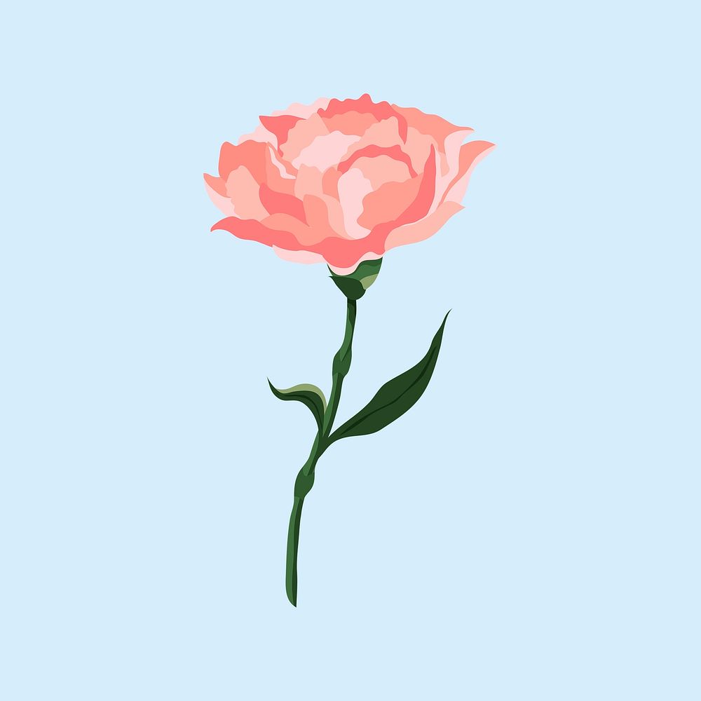 Pink carnation sticker, aesthetic flower illustration vector
