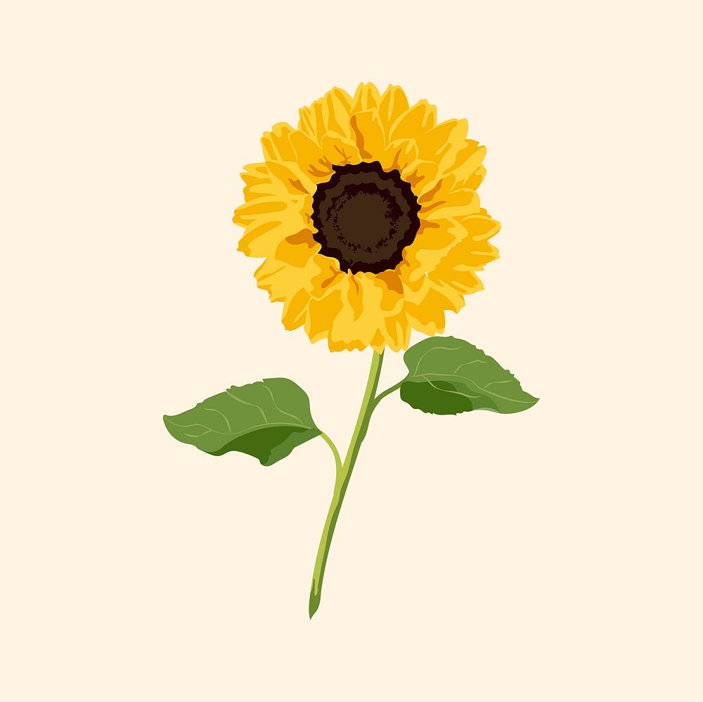 Aesthetic sunflower sticker, yellow flower vector