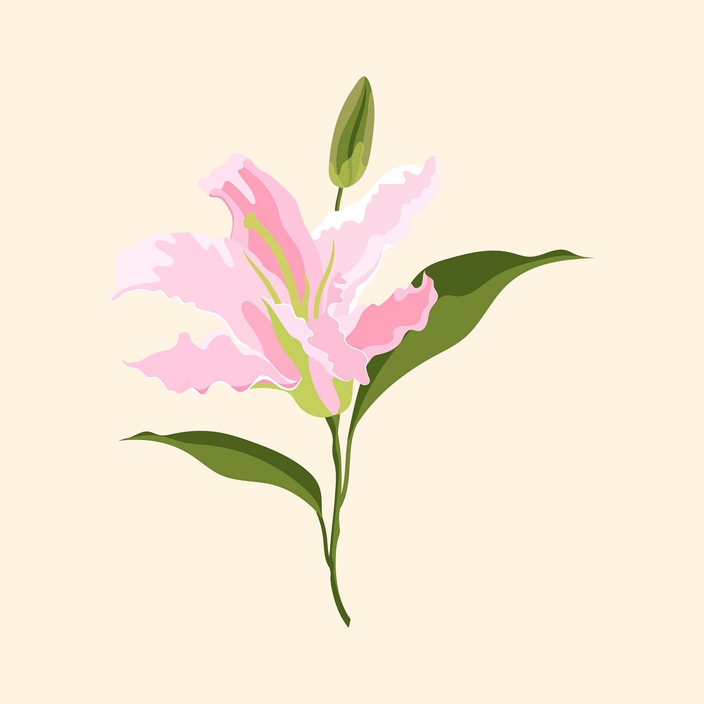 Lily flower sticker, pink botanical, feminine illustration vector