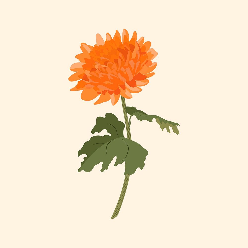 Orange chrysanthemum flower sticker, Autumn aesthetic psd