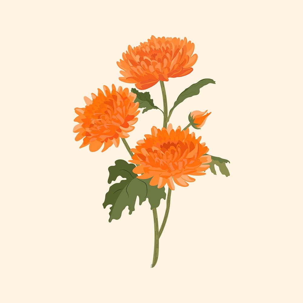 Orange chrysanthemum flower sticker, Autumn aesthetic vector