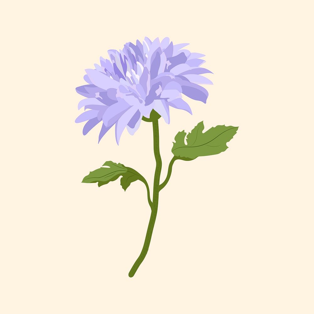Purple flower sticker, chrysanthemum botanical aesthetic psd