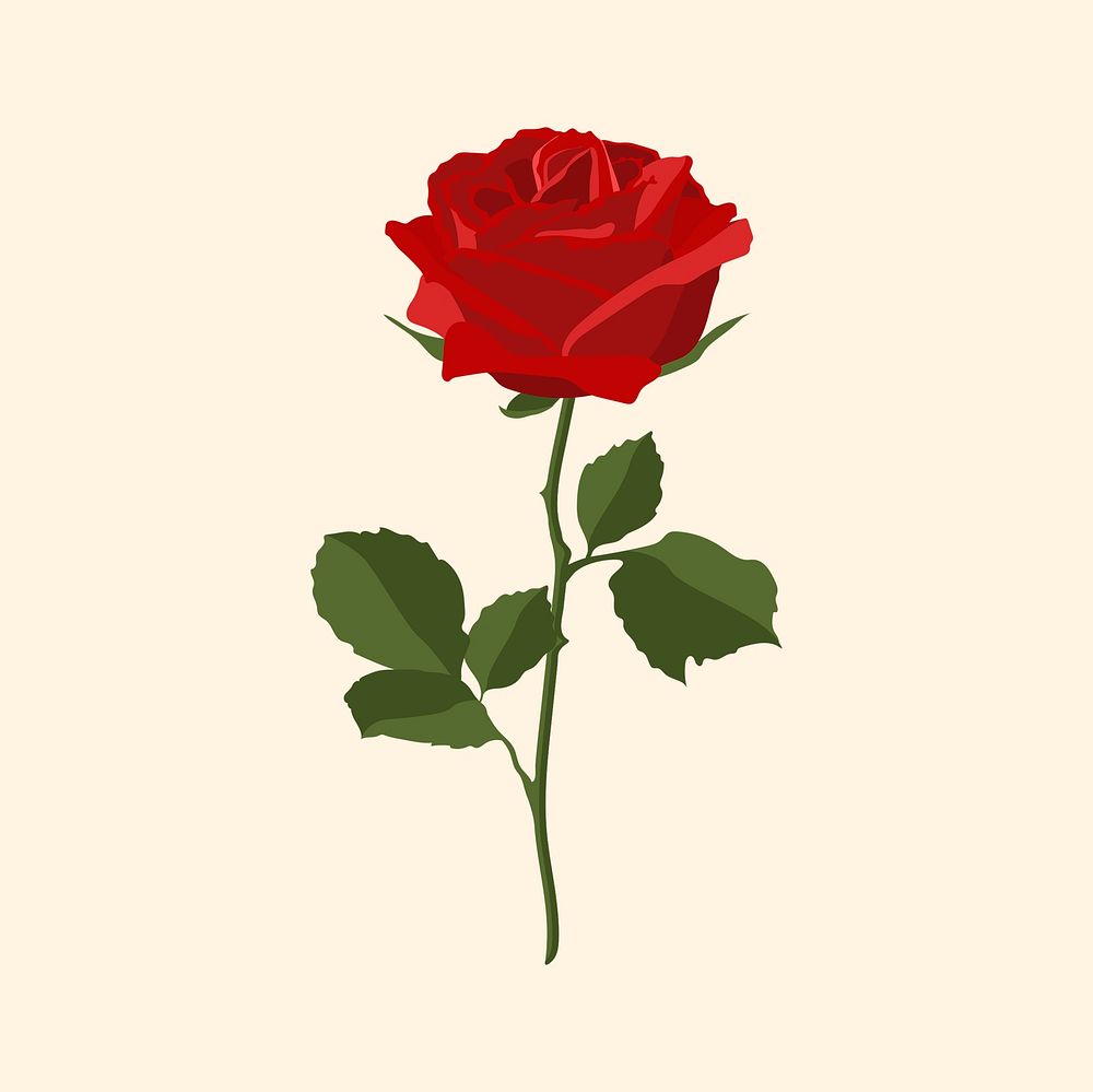 Valentine's rose sticker, red flower illustration psd