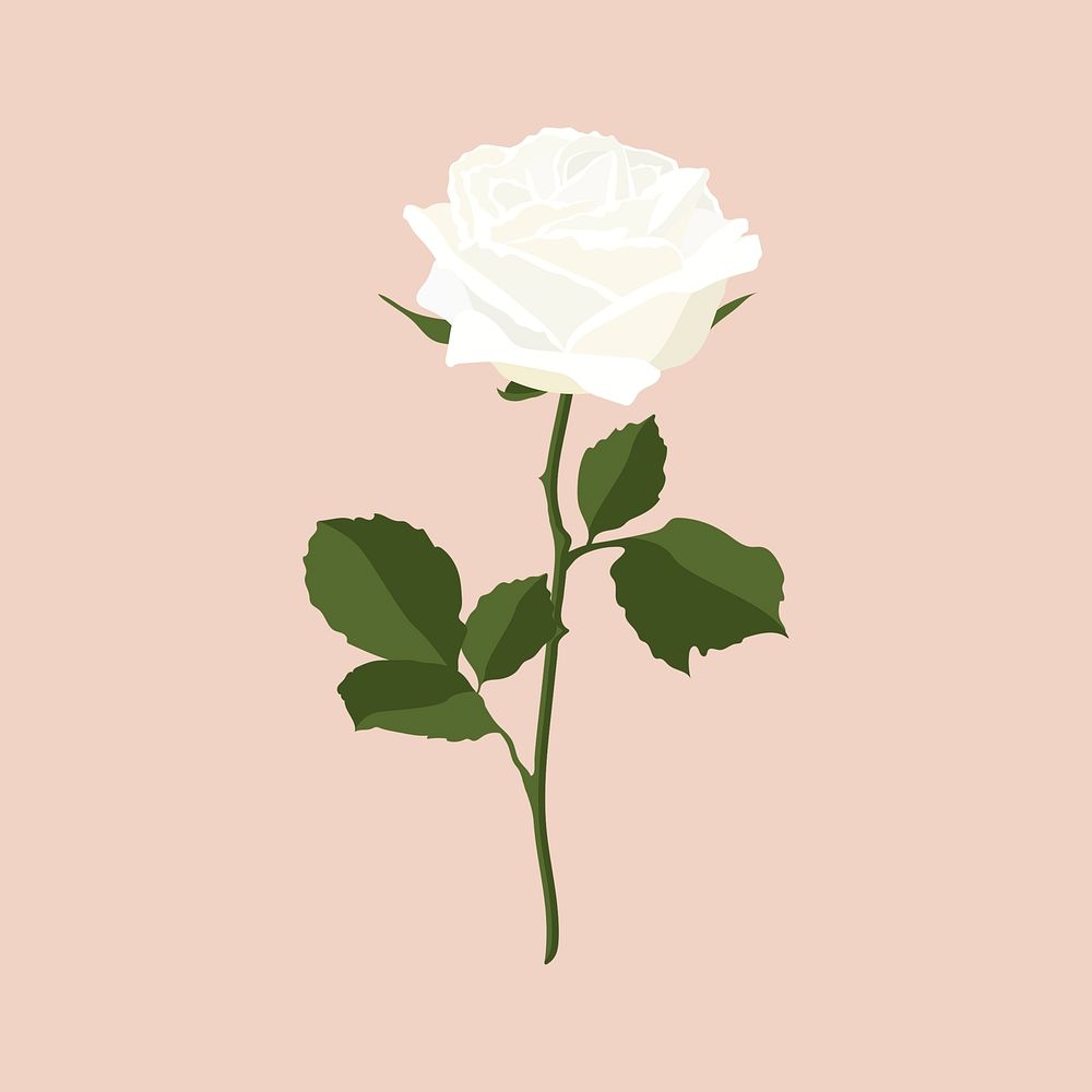Realistic rose sticker, white flower illustration vector