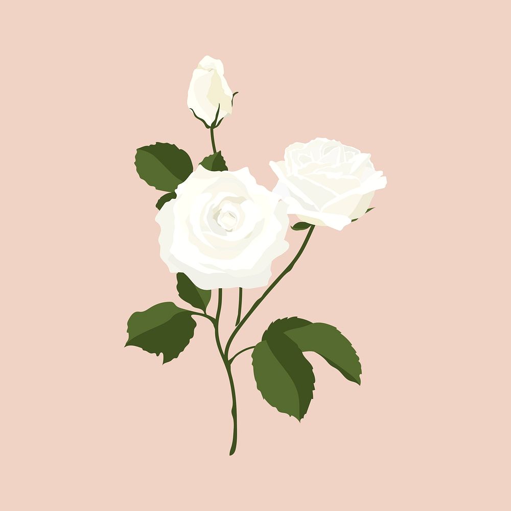 Realistic rose sticker, white flower illustration vector