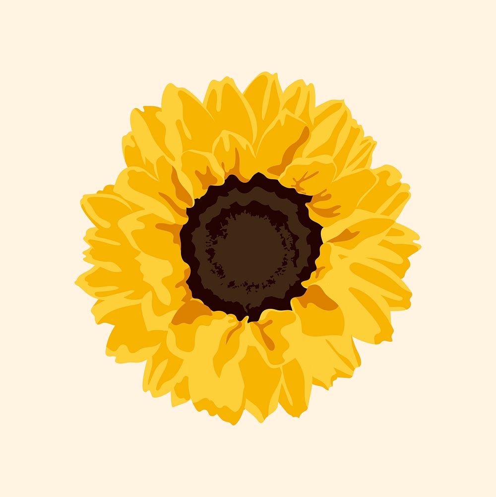 Yellow flower clipart, sunflower spring illustration