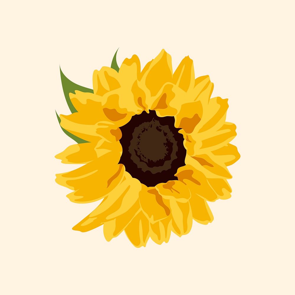 Yellow flower clipart, sunflower spring illustration
