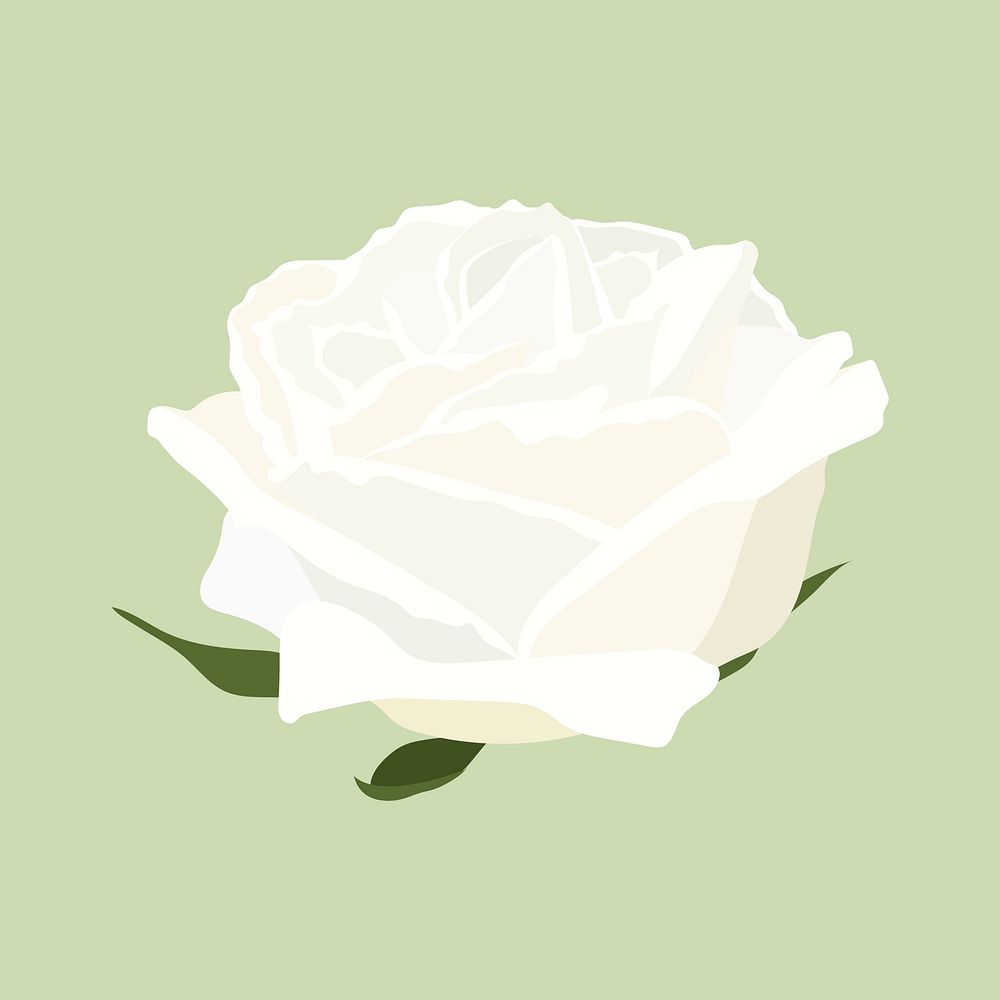 Realistic rose sticker, white flower illustration psd
