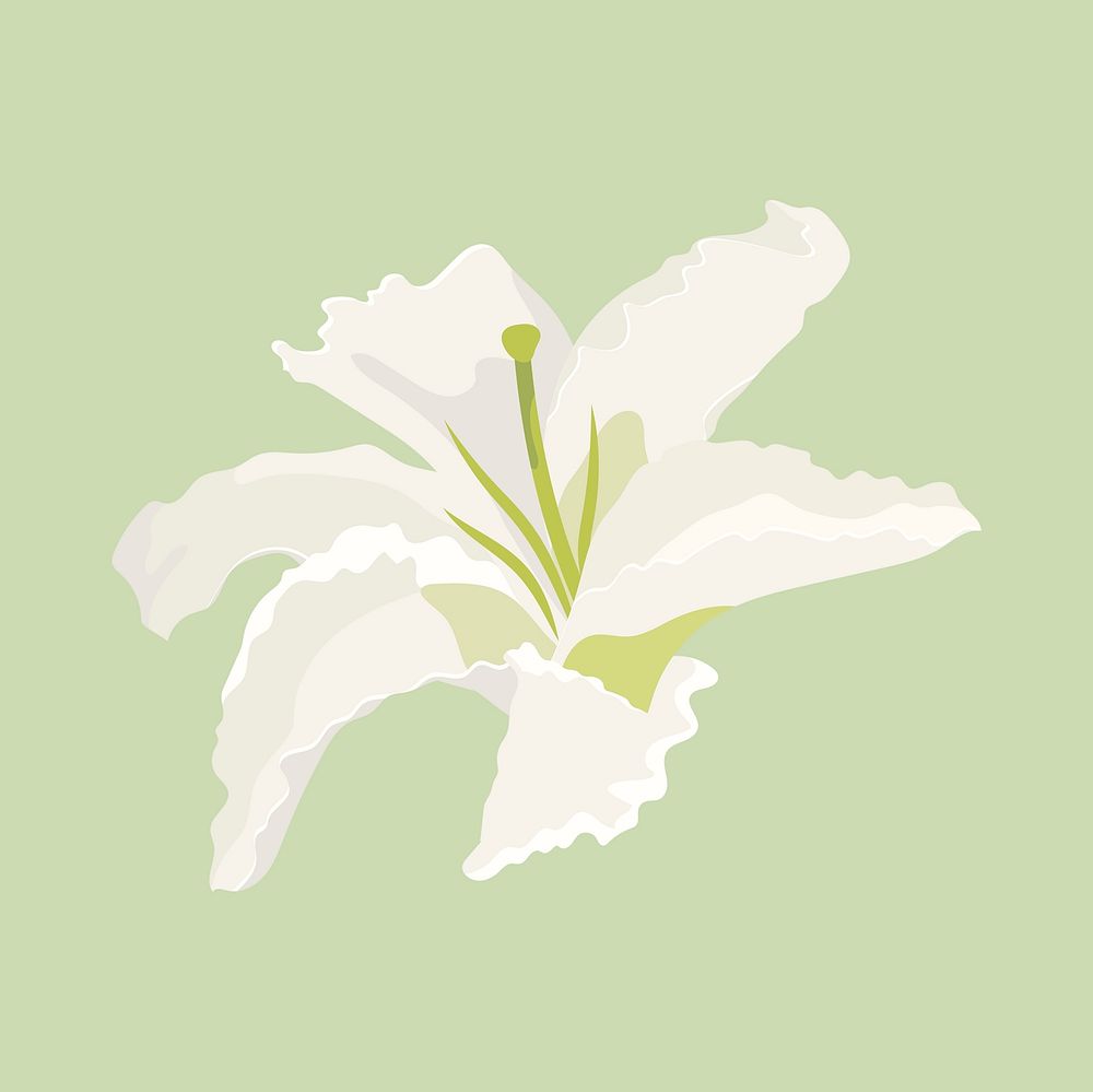 Blooming lily clipart, white flower collage element