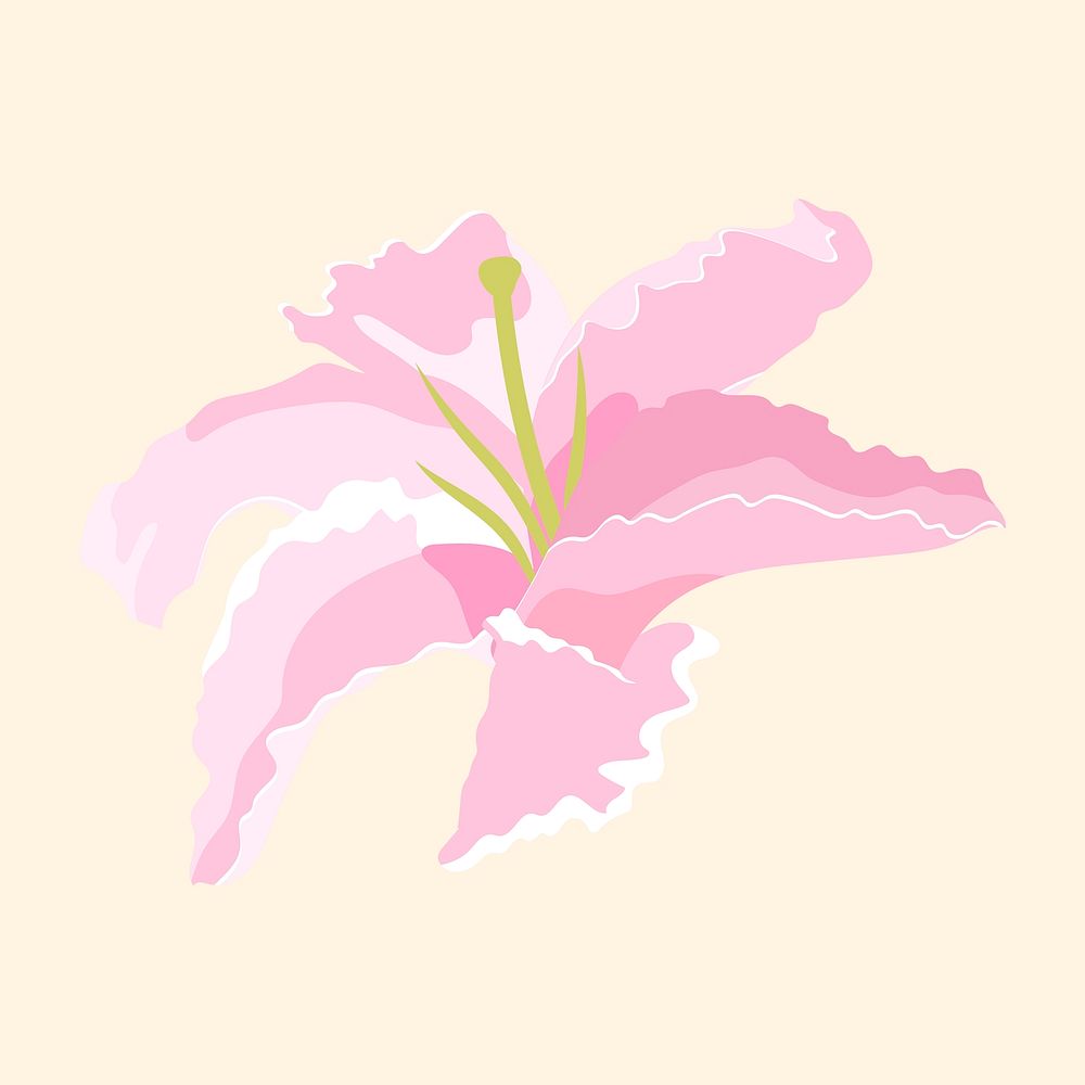 Blooming lily sticker, pink flower collage element vector