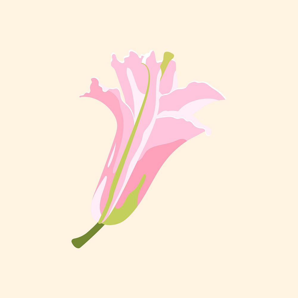 Aesthetic lily clipart, pink flower illustration