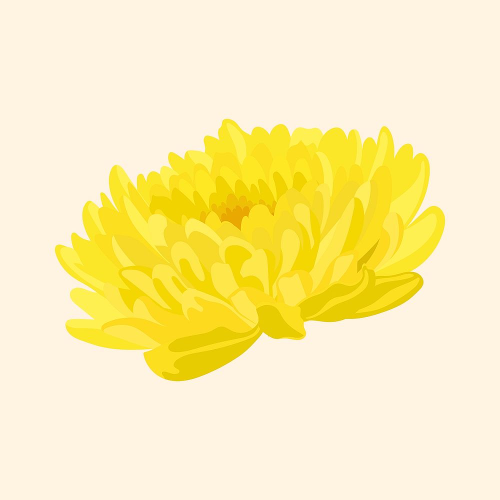 Yellow chrysanthemum sticker, colorful flower collage element psd