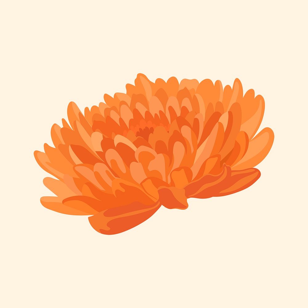 Orange chrysanthemum flower sticker, Autumn aesthetic psd