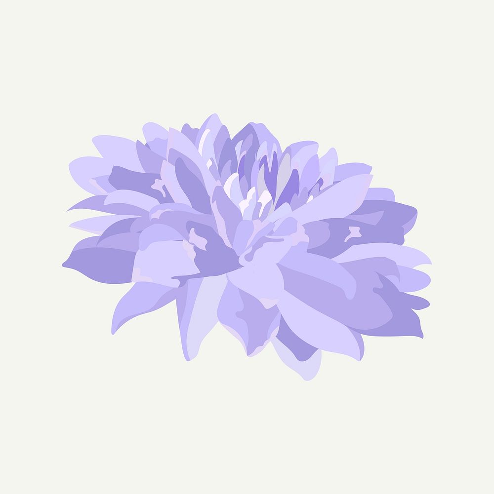 Purple flower sticker, chrysanthemum botanical aesthetic psd