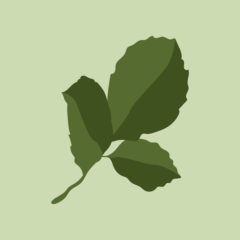 Realistic leaf sticker, green botanical illustration psd