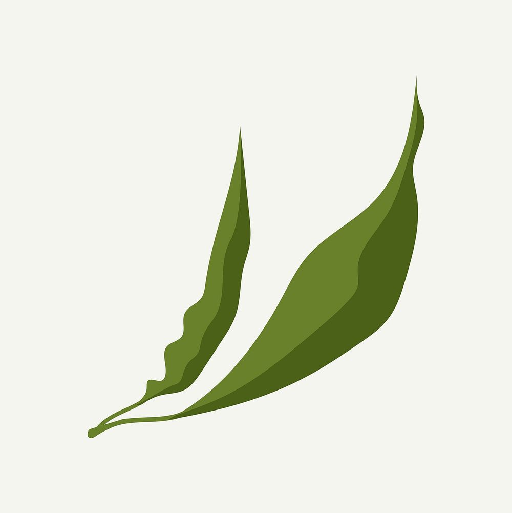 Realistic leaf sticker, green botanical illustration psd